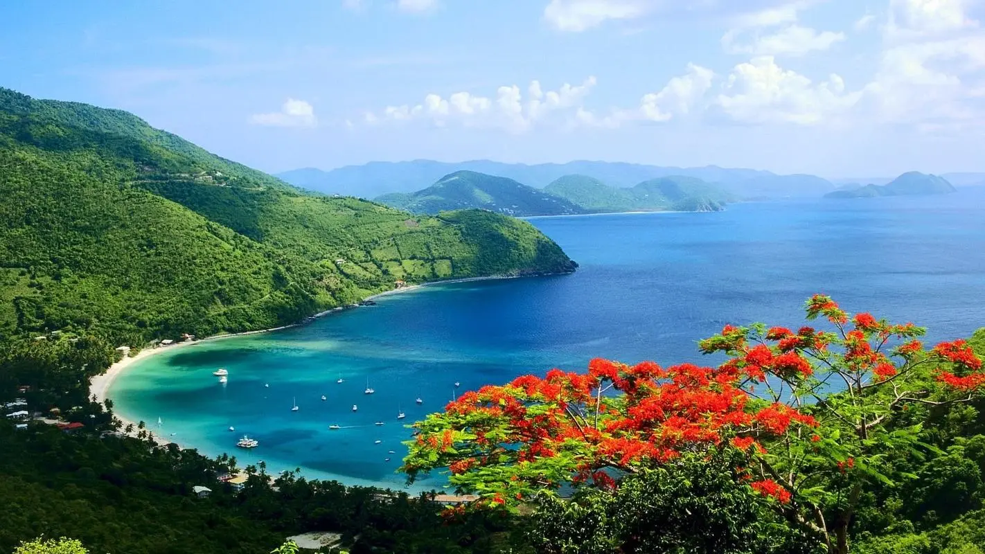 高效可靠性智能系统